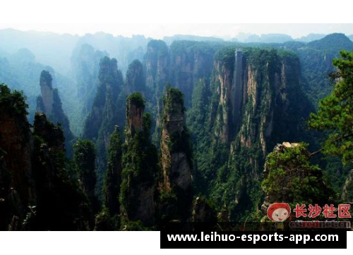 湘西体育明星崛起：从山水之间走出的体育传奇